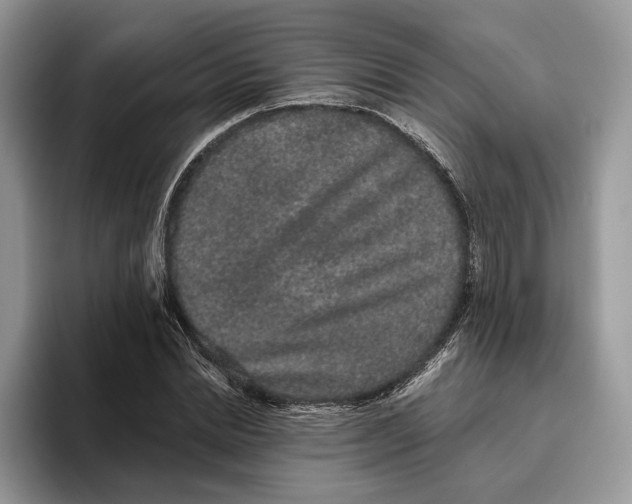 X0000095930830200801251048