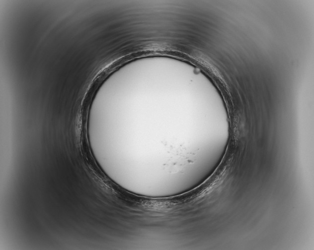 X0000095930831200801251048