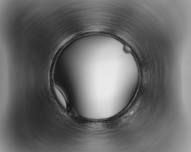 X0000095930834200801251048