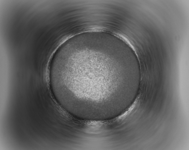 X0000095930835200801251048