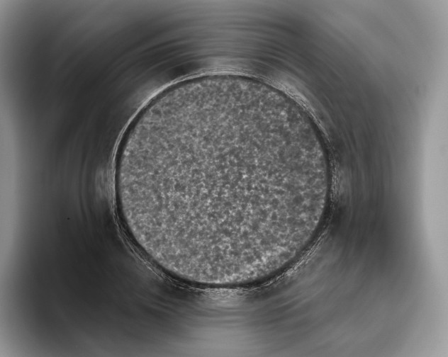X0000095930836200801251048