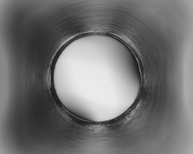X0000095930838200801251048