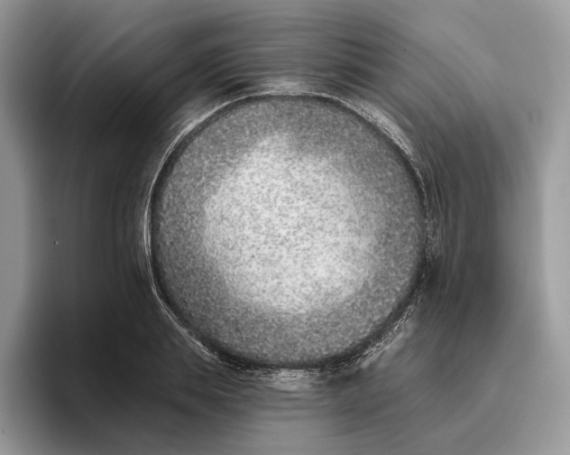 X0000095930839200801251048