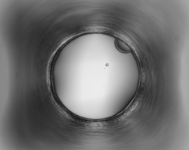 X0000095930843200801251048