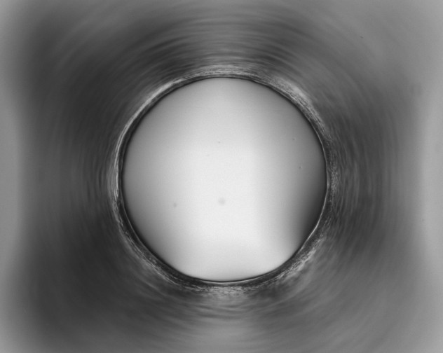 X0000095930844200801251048