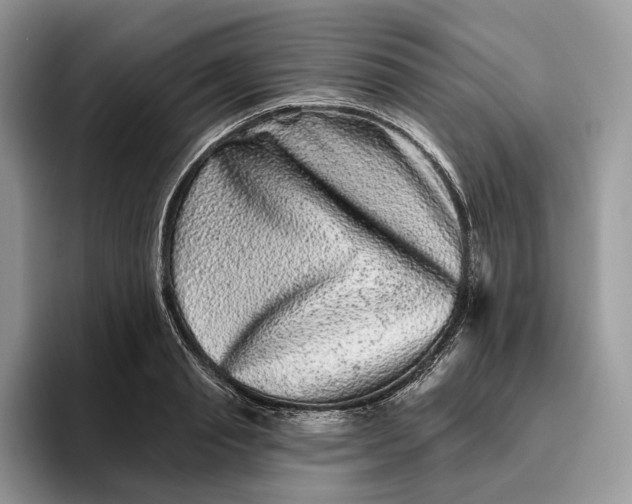 X0000095930845200801251048