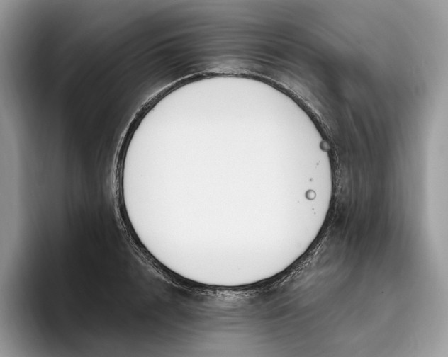 X0000095930848200801251048