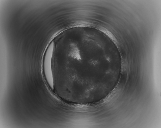 X0000095930850200801251048