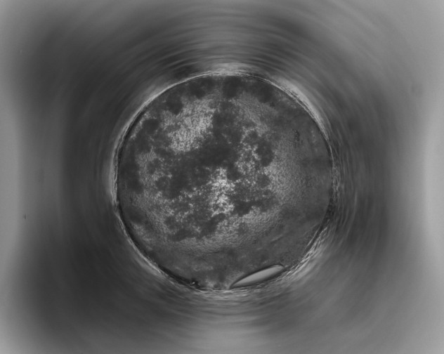 X0000095930851200801251048