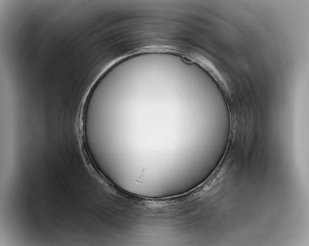 X0000095930852200801251048