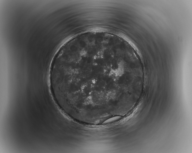 X0000095930853200801251048