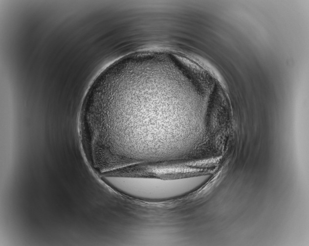 X0000095930855200801251048
