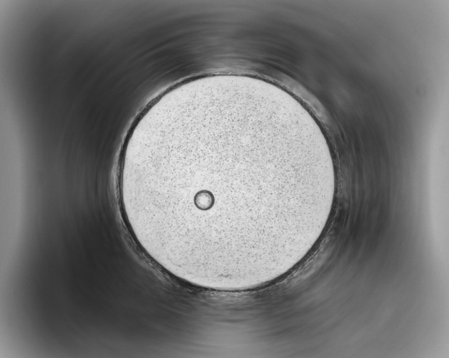 X0000095930856200801251048