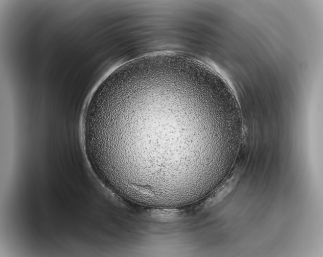 X0000095930859200801251048