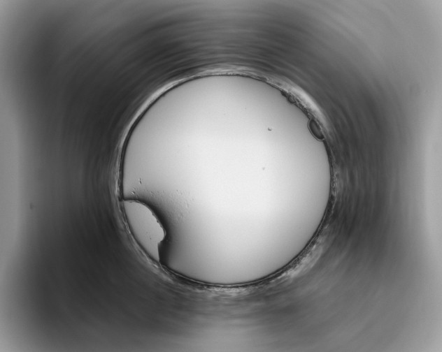 X0000095930860200801251048