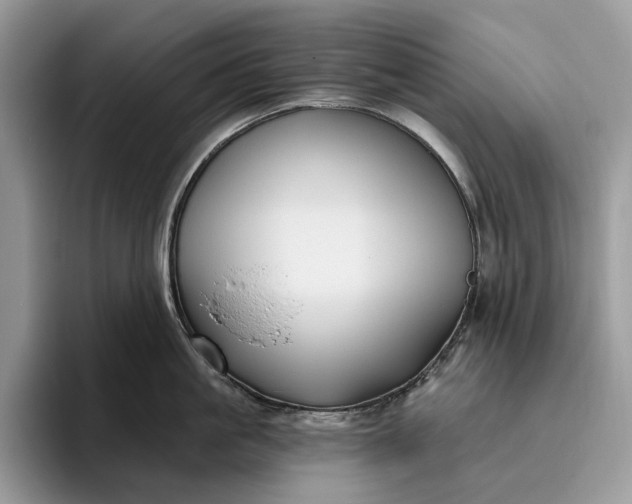 X0000095930861200801251048