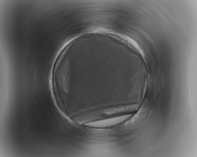 X0000095930863200801251048