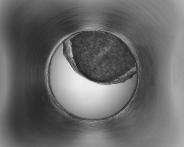 X0000095930864200801251048