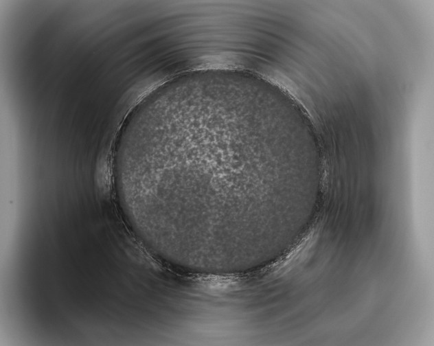X0000095930874200801251048
