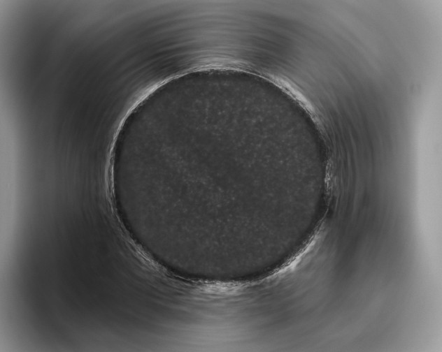 X0000095930877200801251048