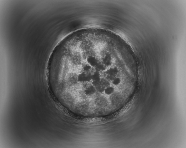 X0000095930879200801251048