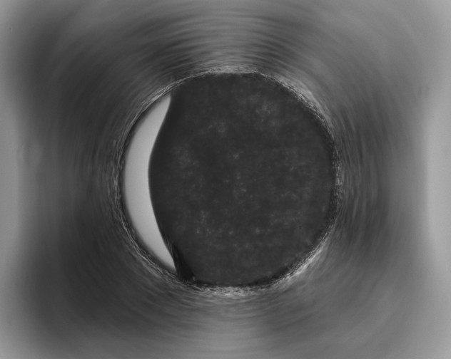 X0000095930881200801251048