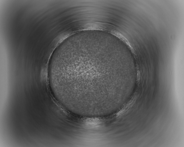 X0000095930882200801251048