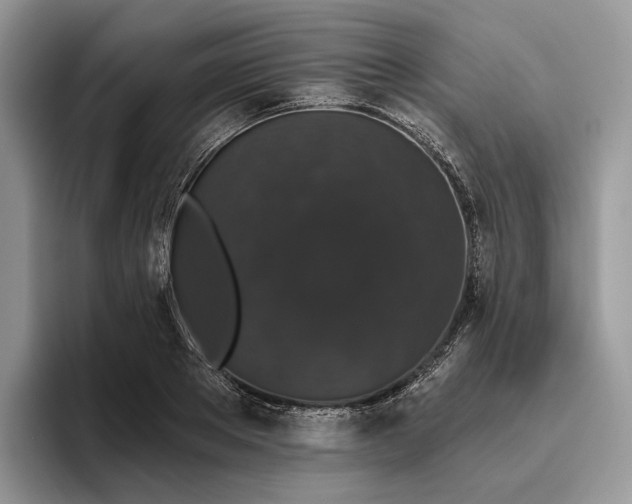 X0000095930889200801251047