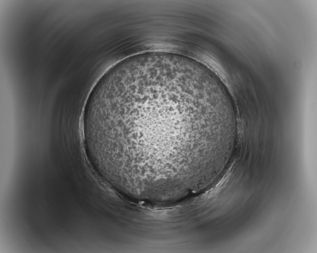 X0000095930891200801251047