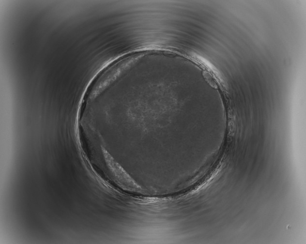 X0000095930892200801251047