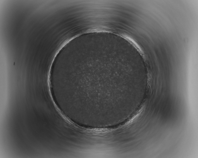 X0000095930893200801251047
