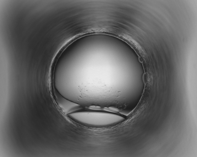 X0000095930894200801251047