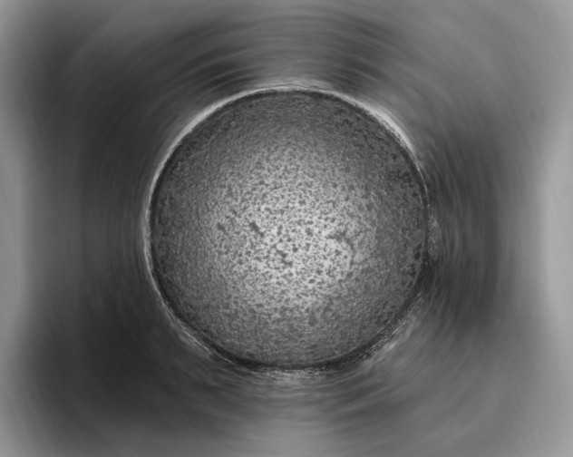 X0000095930895200801251047