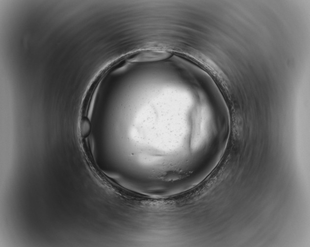 X0000095930896200801251047
