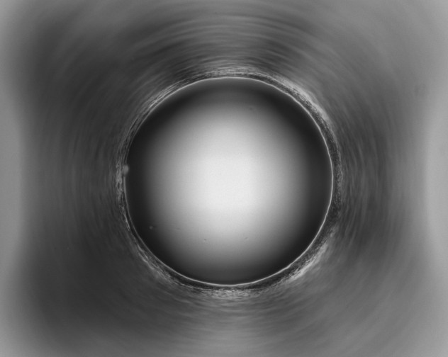 X0000095930897200801251047