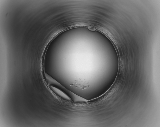X0000095930898200801251047