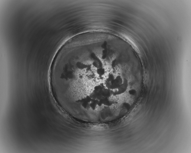 X0000095930899200801251047