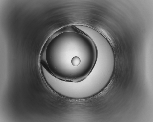 X0000095930900200801251047