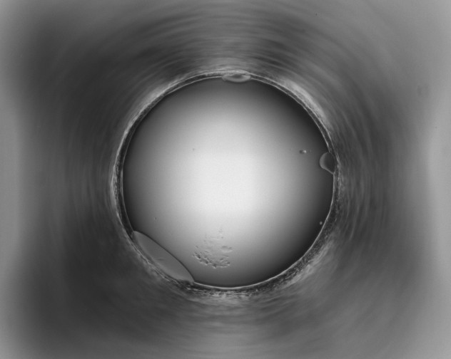 X0000095930901200801251047
