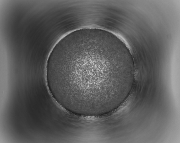X0000095930903200801251047