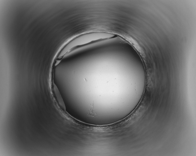 X0000095930904200801251047