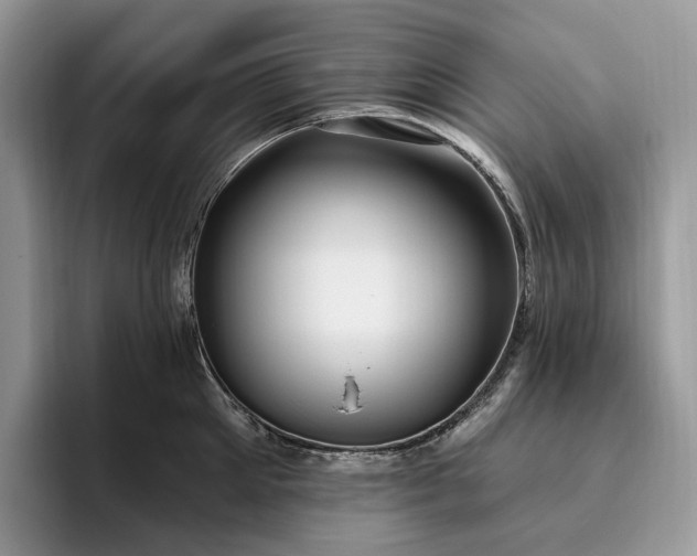 X0000095930905200801251047