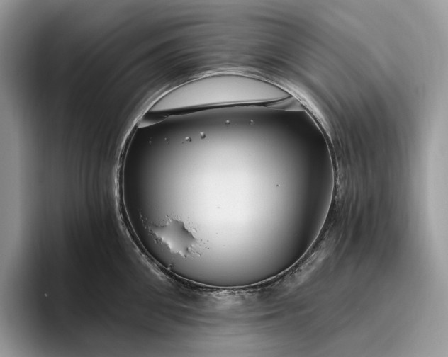 X0000095930906200801251047