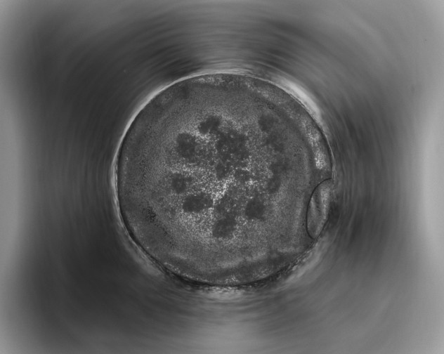 X0000095930907200801251047