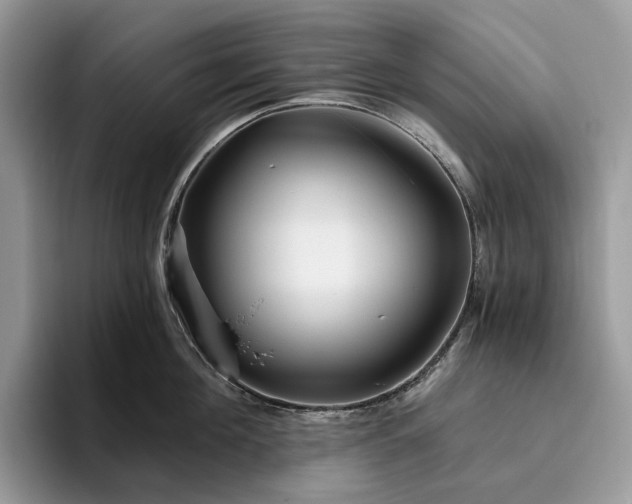 X0000095930908200801251047