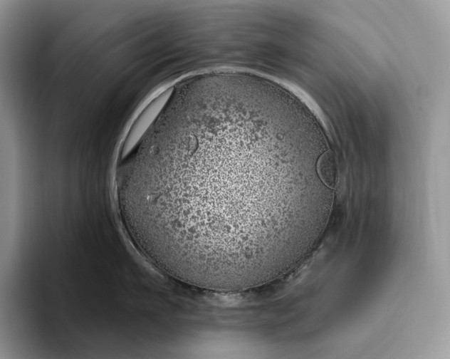 X0000095930911200801251047