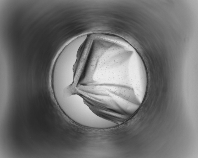 X0000095930912200801251047