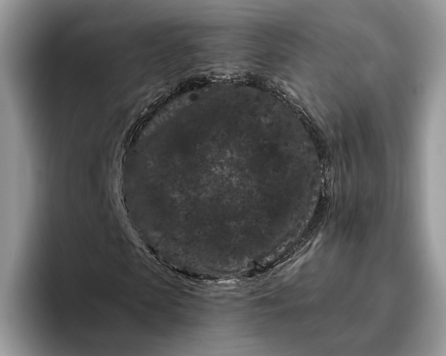 X0000095930913200801251047