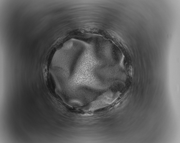 X0000095930915200801251047