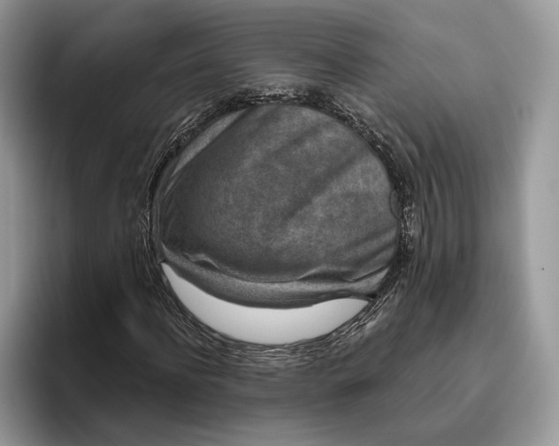 X0000095930916200801251047